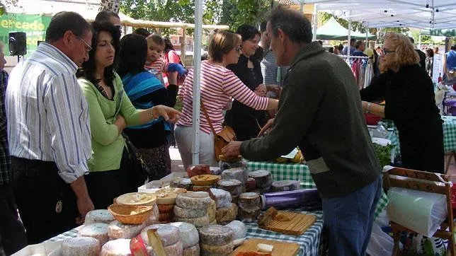 mercado agroecologico del aljarafe x
