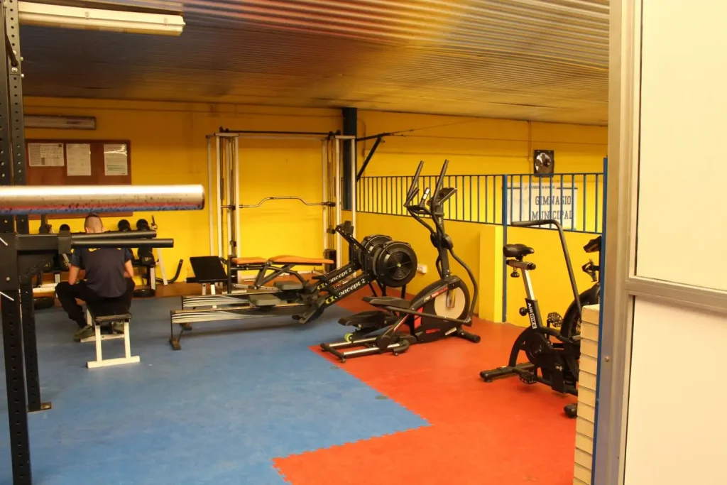 pabellon municipal deportes gines