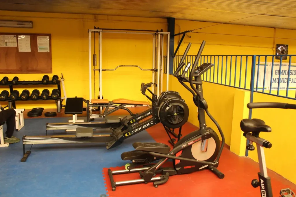 pabellon municipal deportes gines