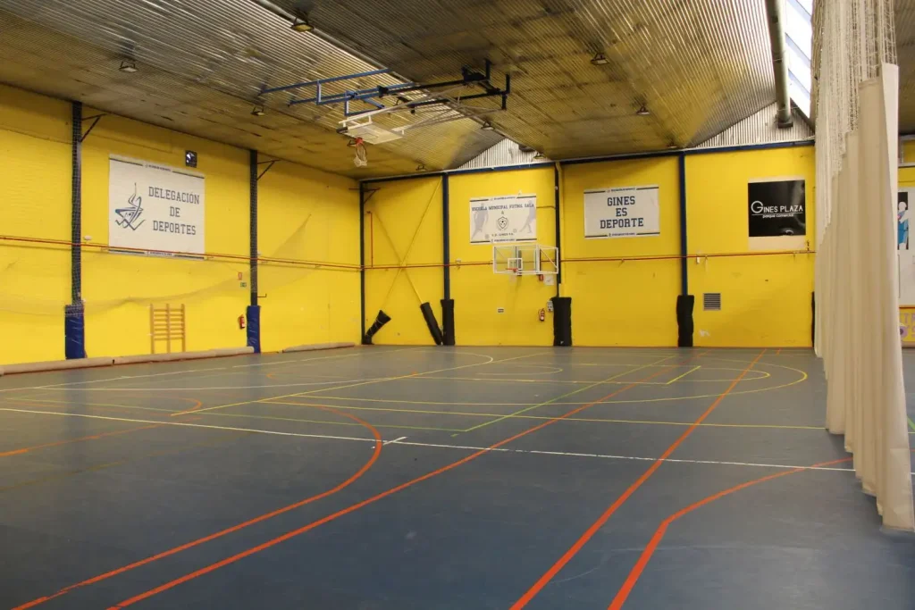 pabellon municipal deportes gines