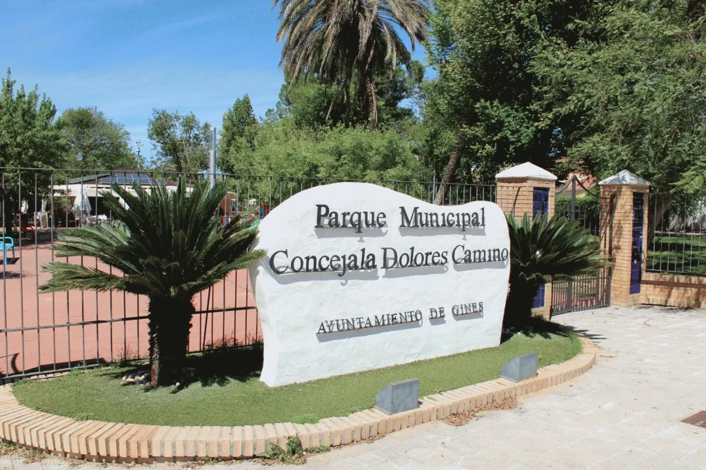 plan local salud gines