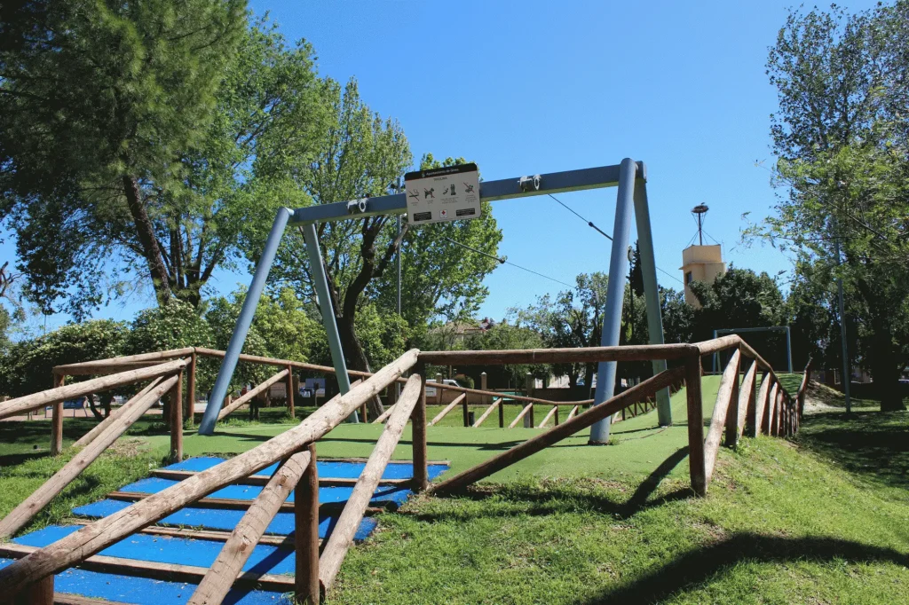 plan local salud gines