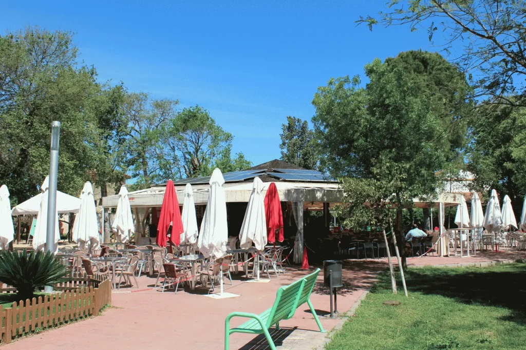 plan local salud gines