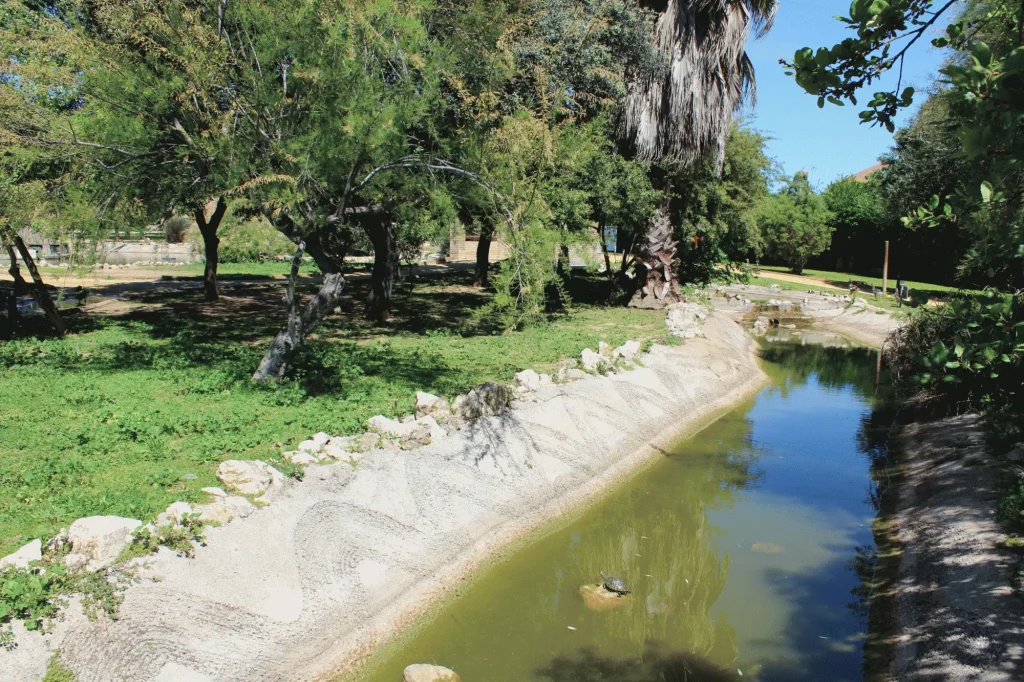 plan local salud gines