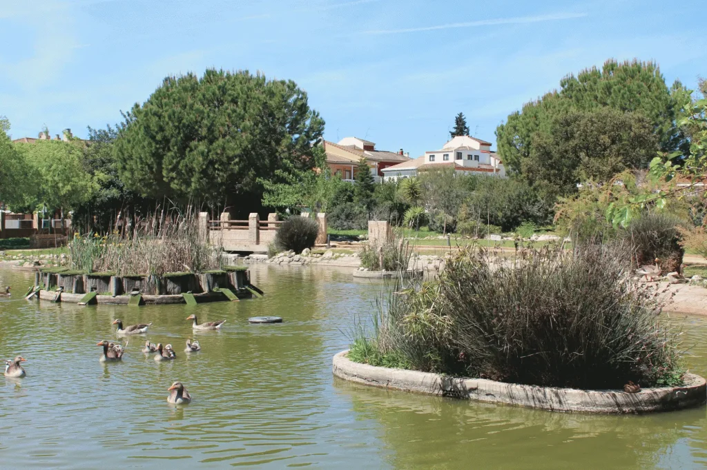 plan local salud gines