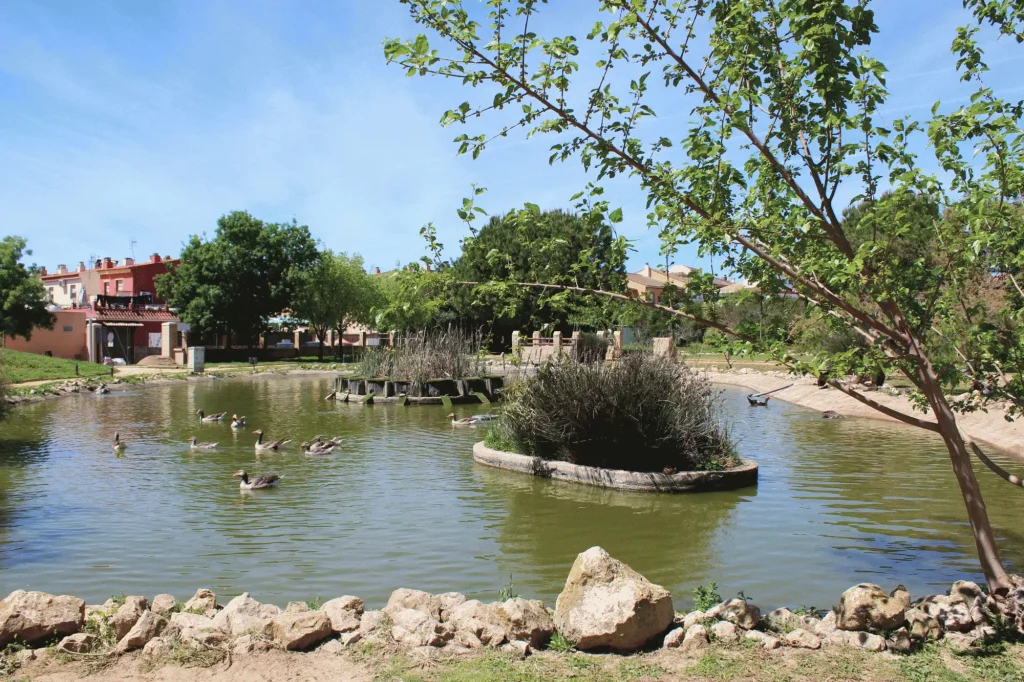 plan local salud gines