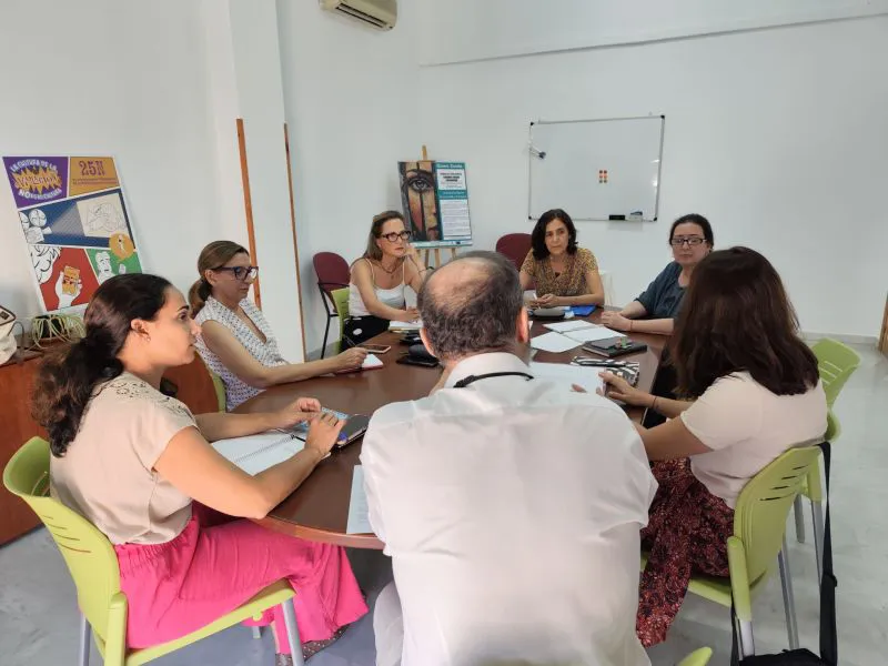 revision plan local salud